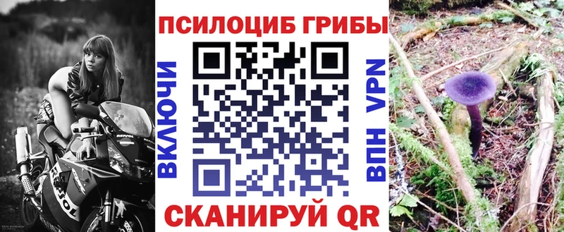 Купить где  Рославль  Галлюциногенные грибы Cubensis 
